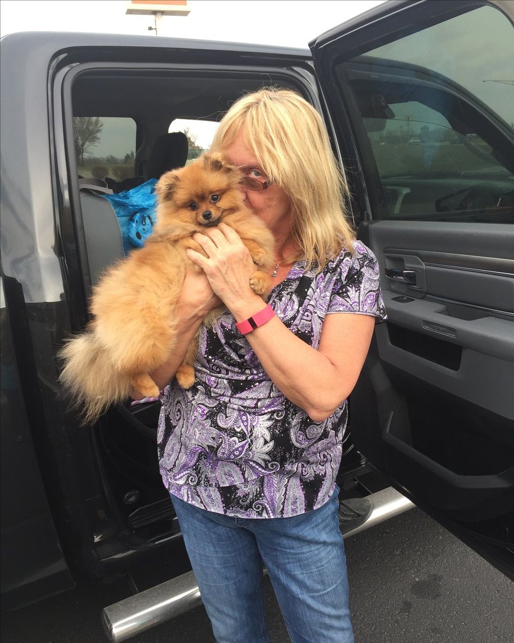 A puppy handed over to her new family