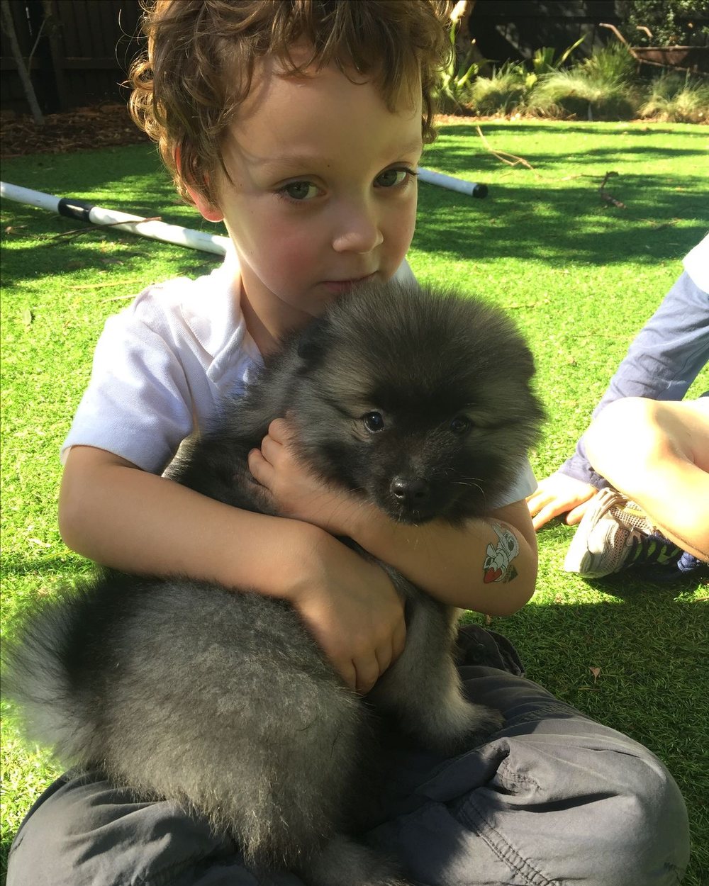 New best friends